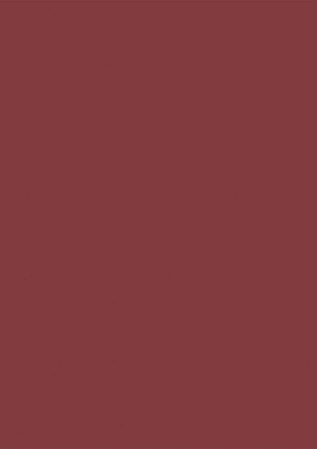 U343 PG Vino